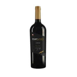 Vinho Tinto Chileno Paso de Los Andes Carménère 750ml